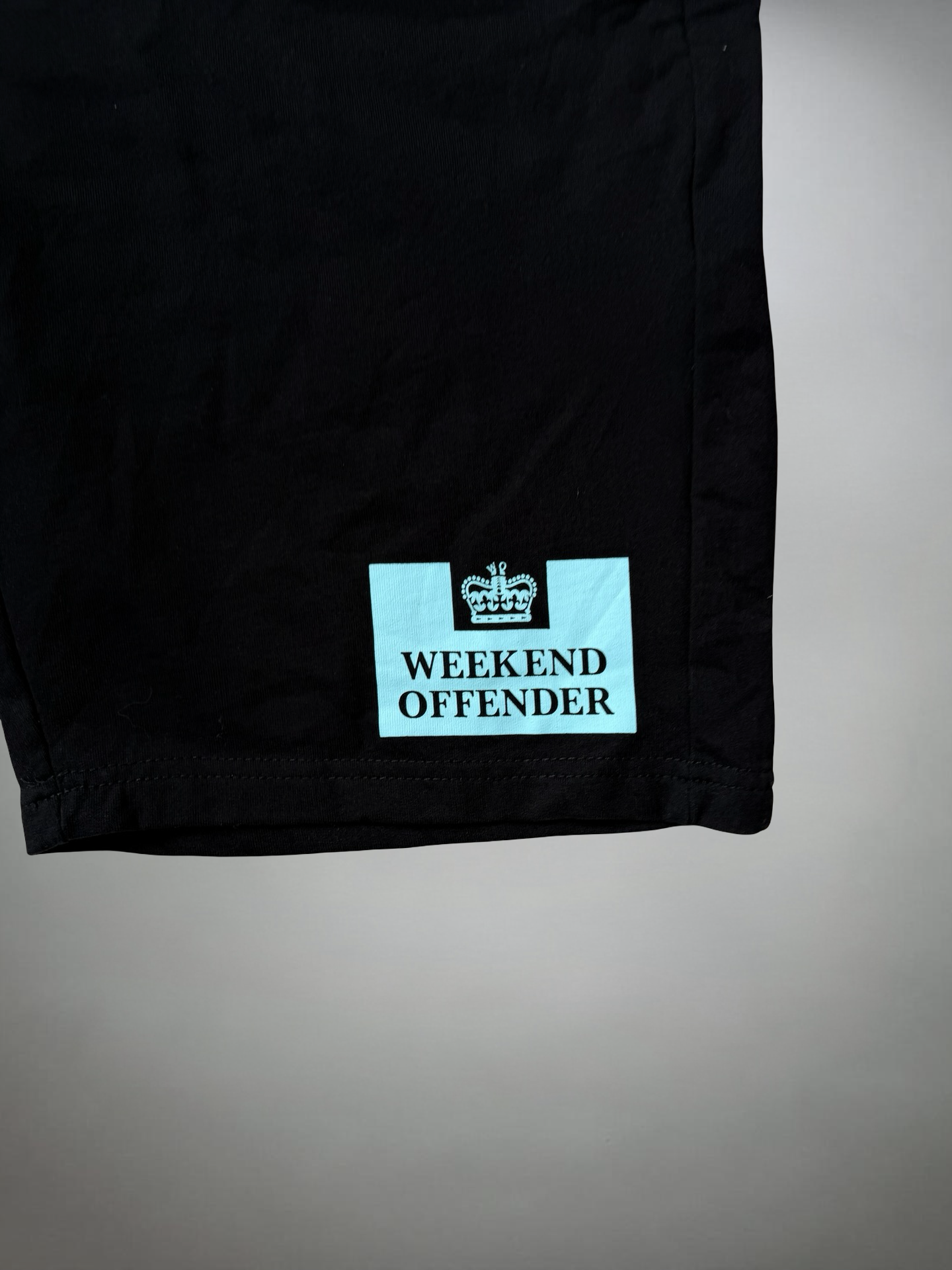 Vintage Weekend Offender Shorts (L)